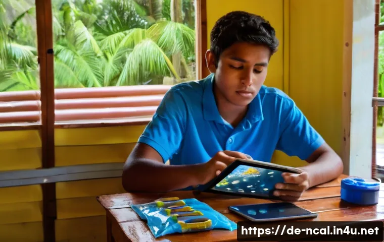 누벨칼레도니 자연재해 위험 관련 이미지 2